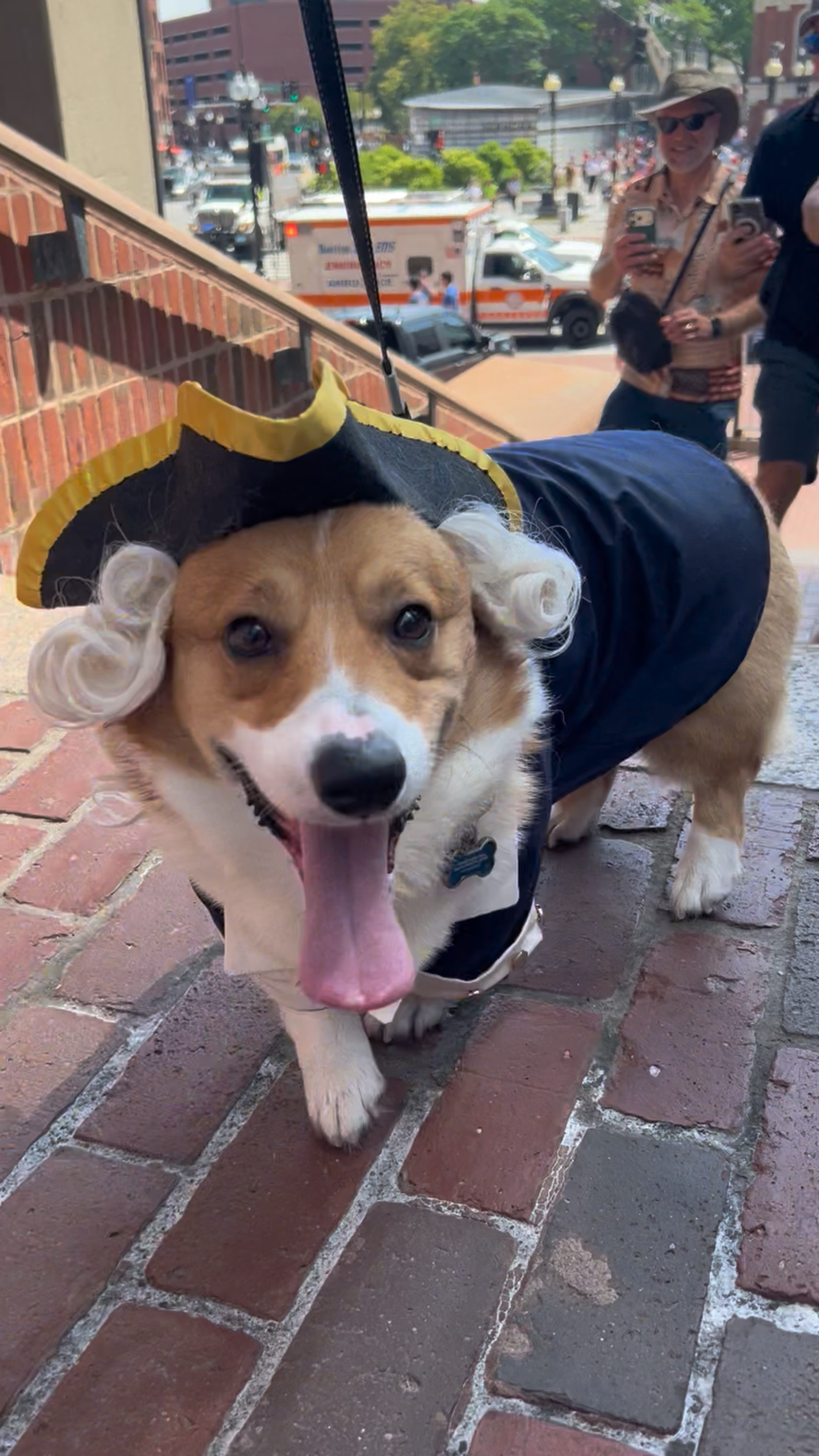 Rocko dressed as George Washington